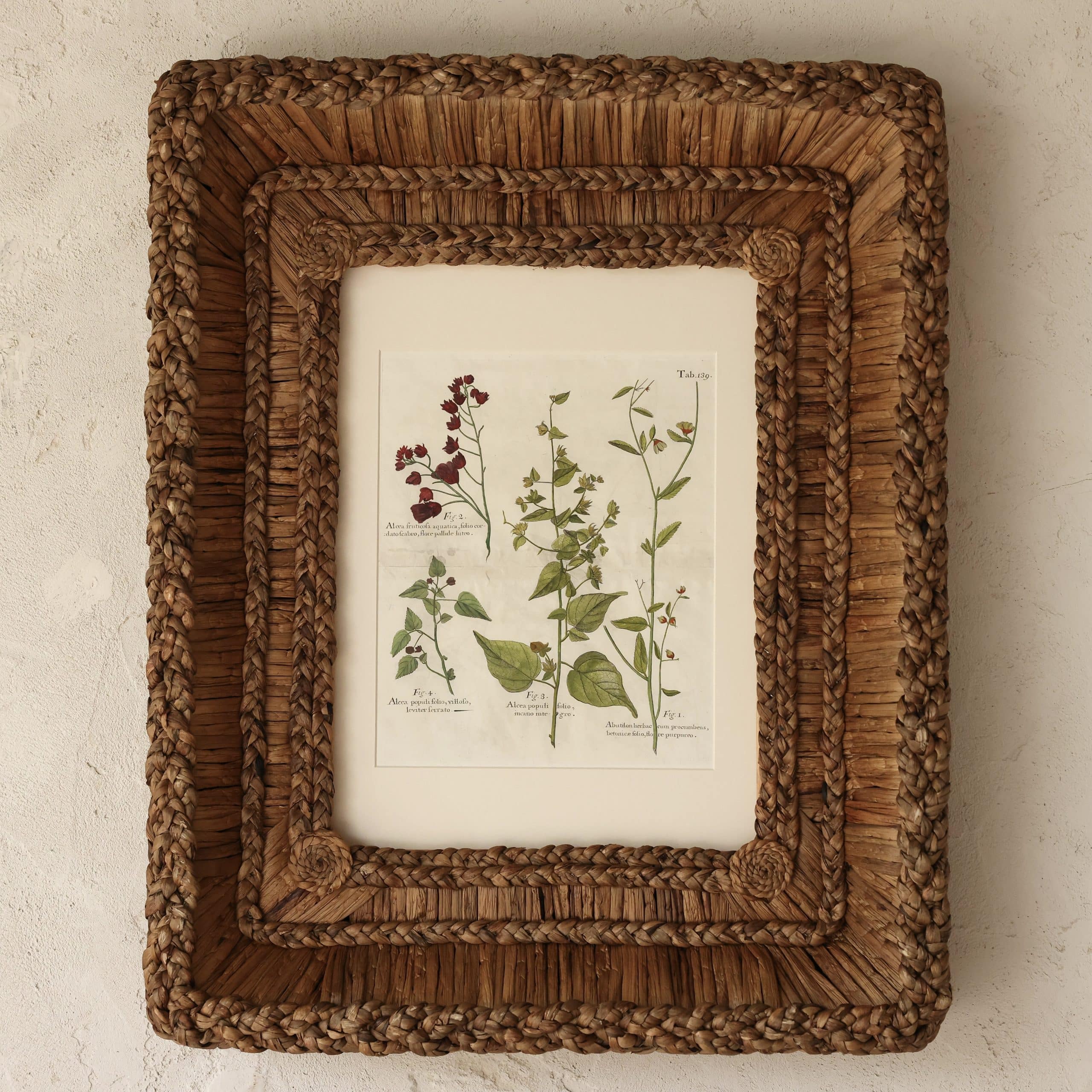 Casa Gusto 18th C. English Sloane Botanical in Gusto Woven Frame III
